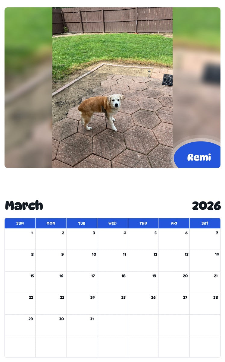 November 2025 - October 2026 Remi - Pawidols Pet Calendar