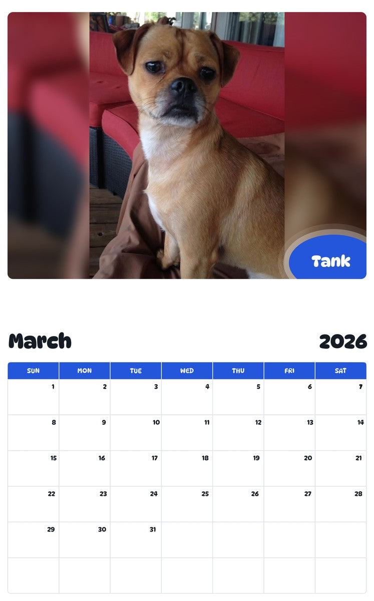 November 2025 - October 2026 Tank - Pawidols Pet Calendar