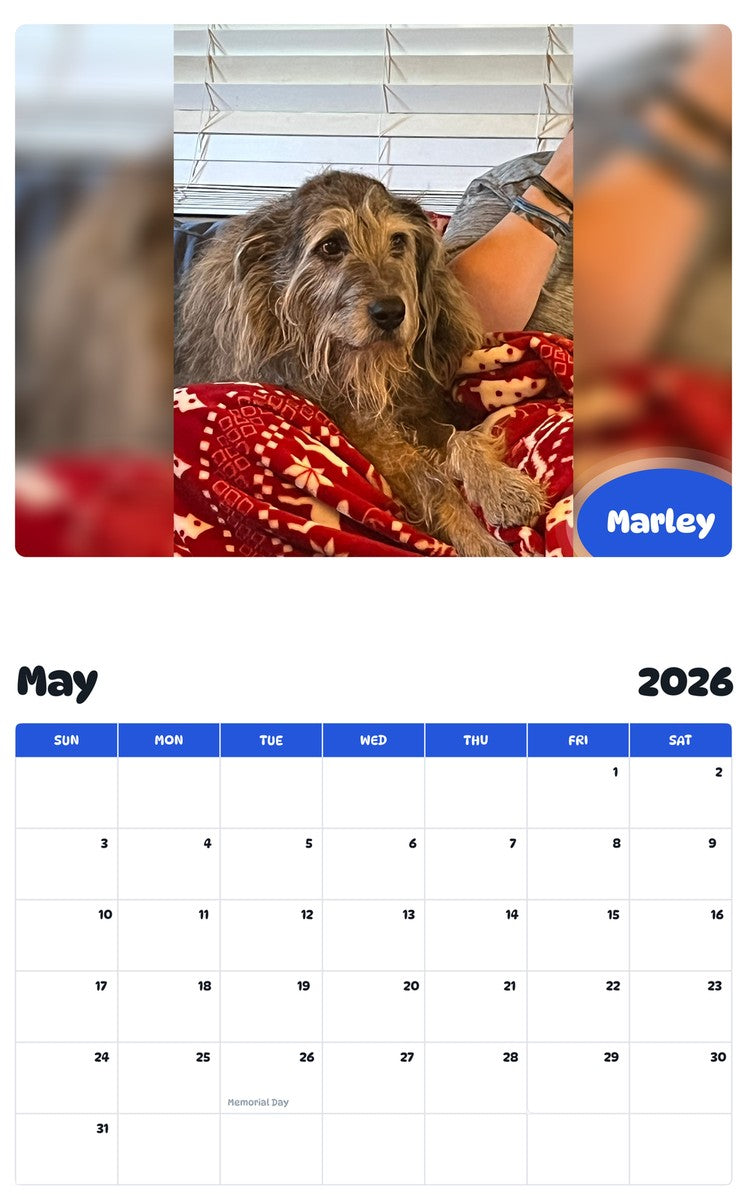 2026 - 2027 Marley - Pawidols Pet Calendar