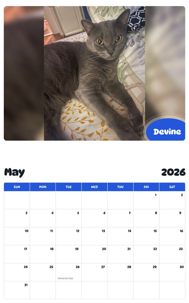 2026 - 2027 Devine - Pawidols Pet Calendar