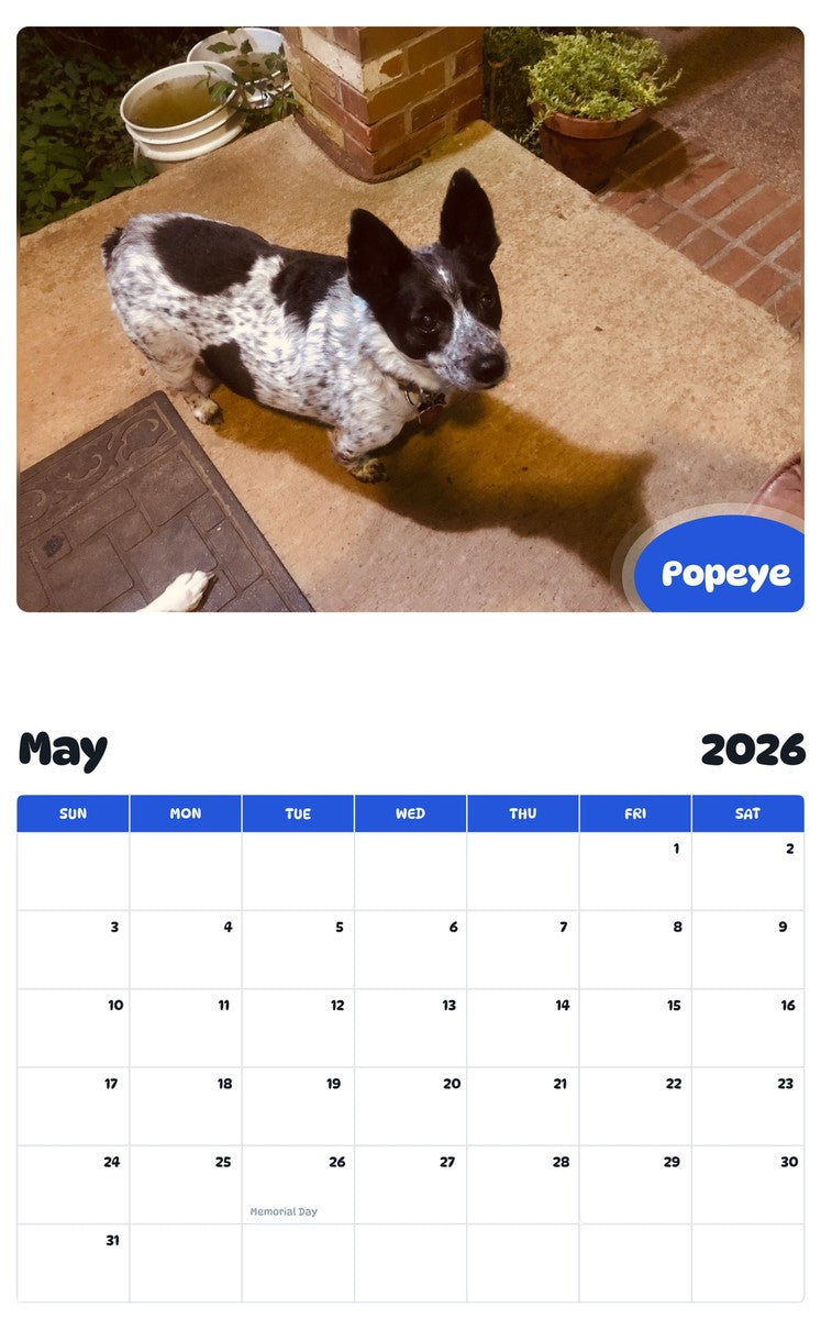 2026 - 2027 Popeye - Pawidols Pet Calendar