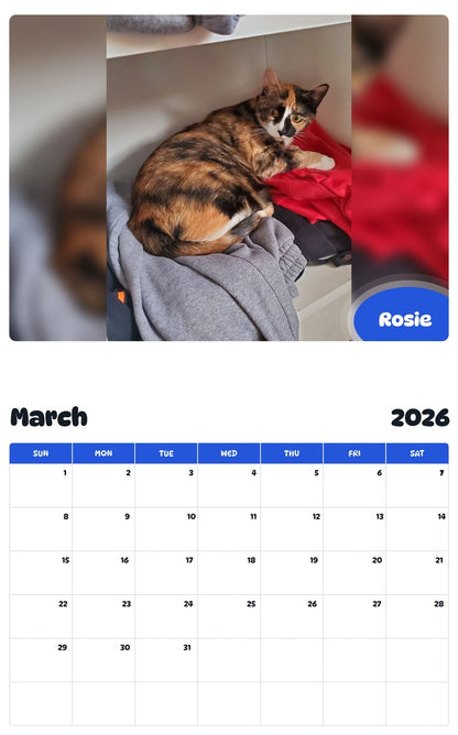 November 2025 - October 2026 Rosie - Pawidols Pet Calendar