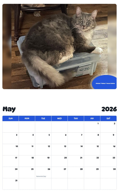 2026 - 2027 Michael “Mickey” Mouse Mullins - Pawidols Pet Calendar