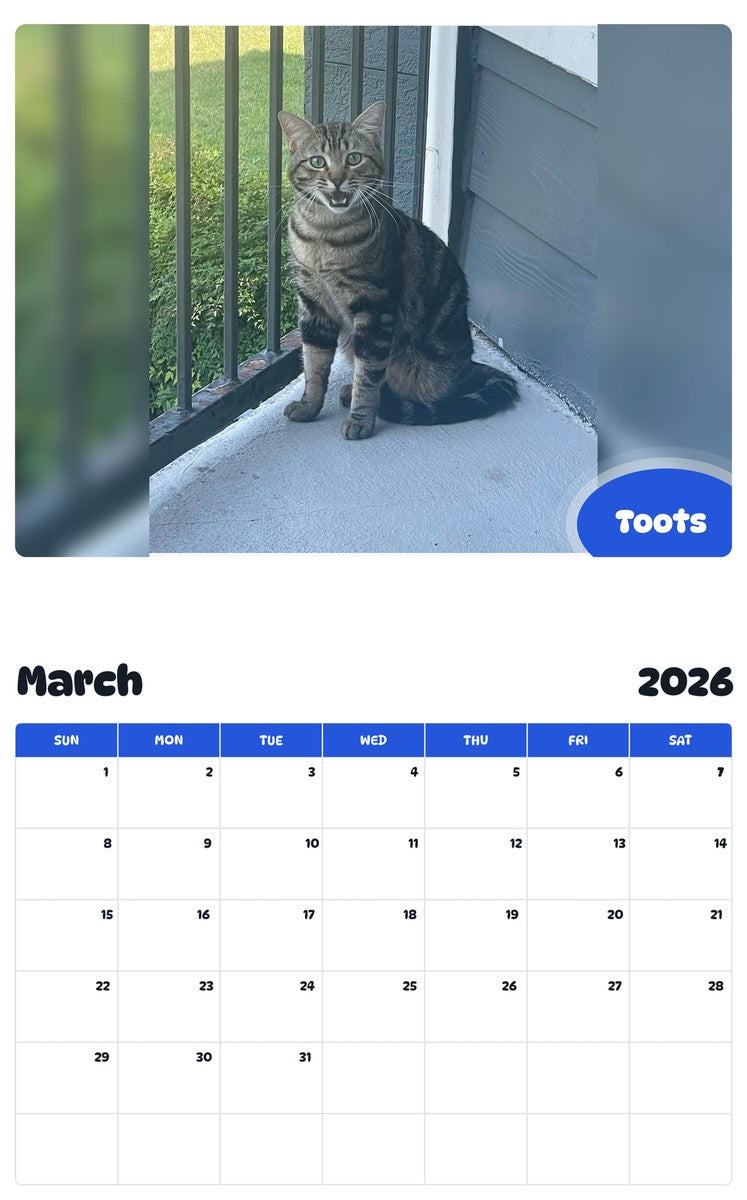 November 2025 - October 2026 Toots - Pawidols Pet Calendar