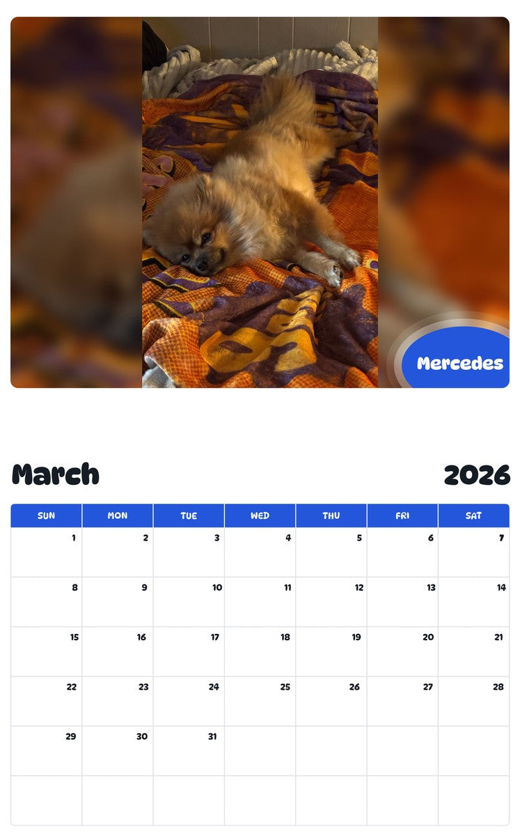 November 2025 - October 2026 Mercedes - Pawidols Pet Calendar