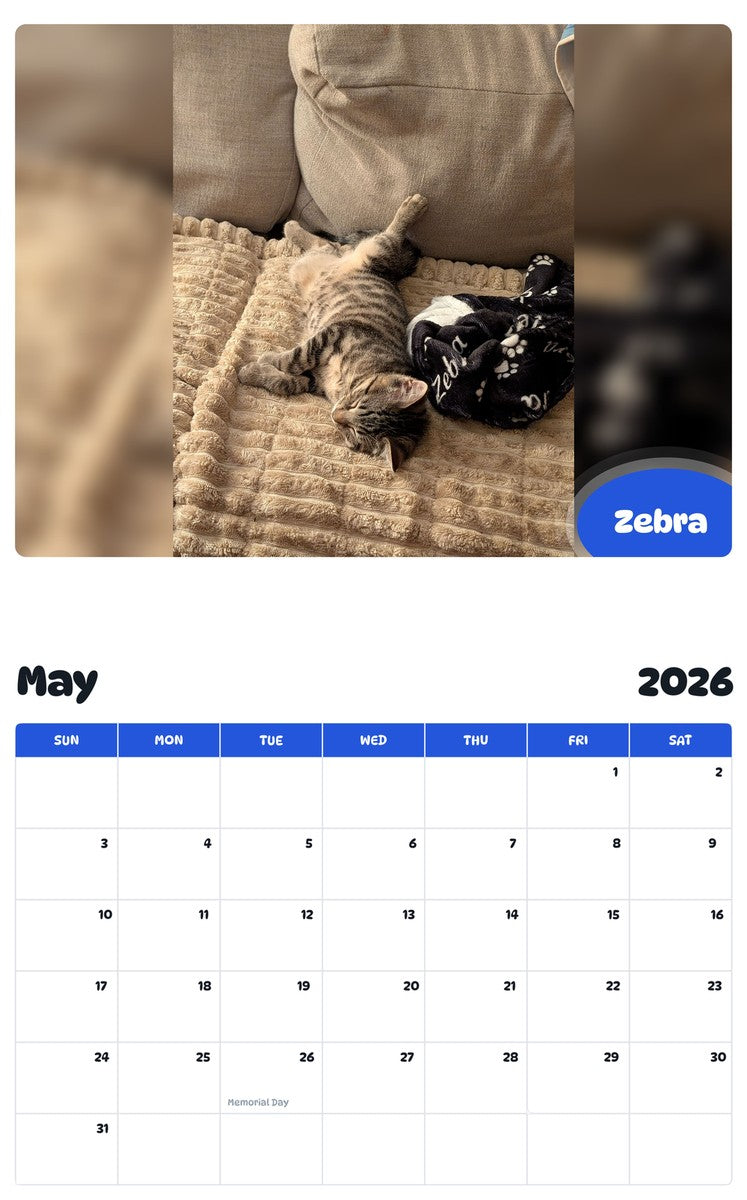 2026 - 2027 Zebra - Pawidols Pet Calendar