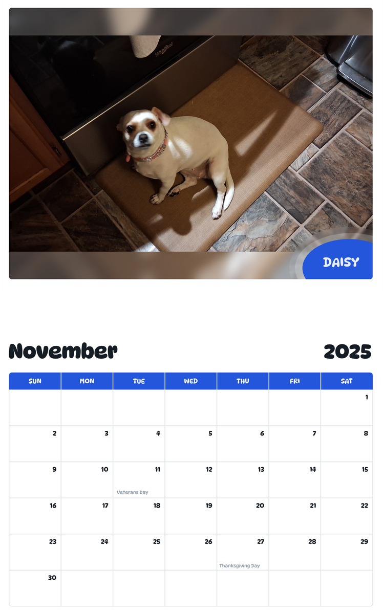 July 2025 - June 2026 Daisy - Pawidols Pet Calendar