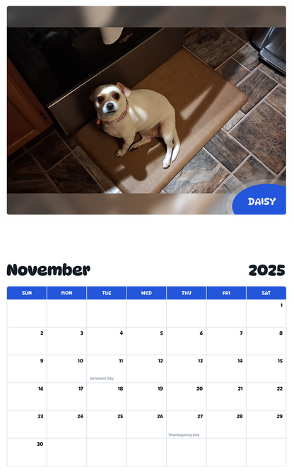 July 2025 - June 2026 Daisy - Pawidols Pet Calendar