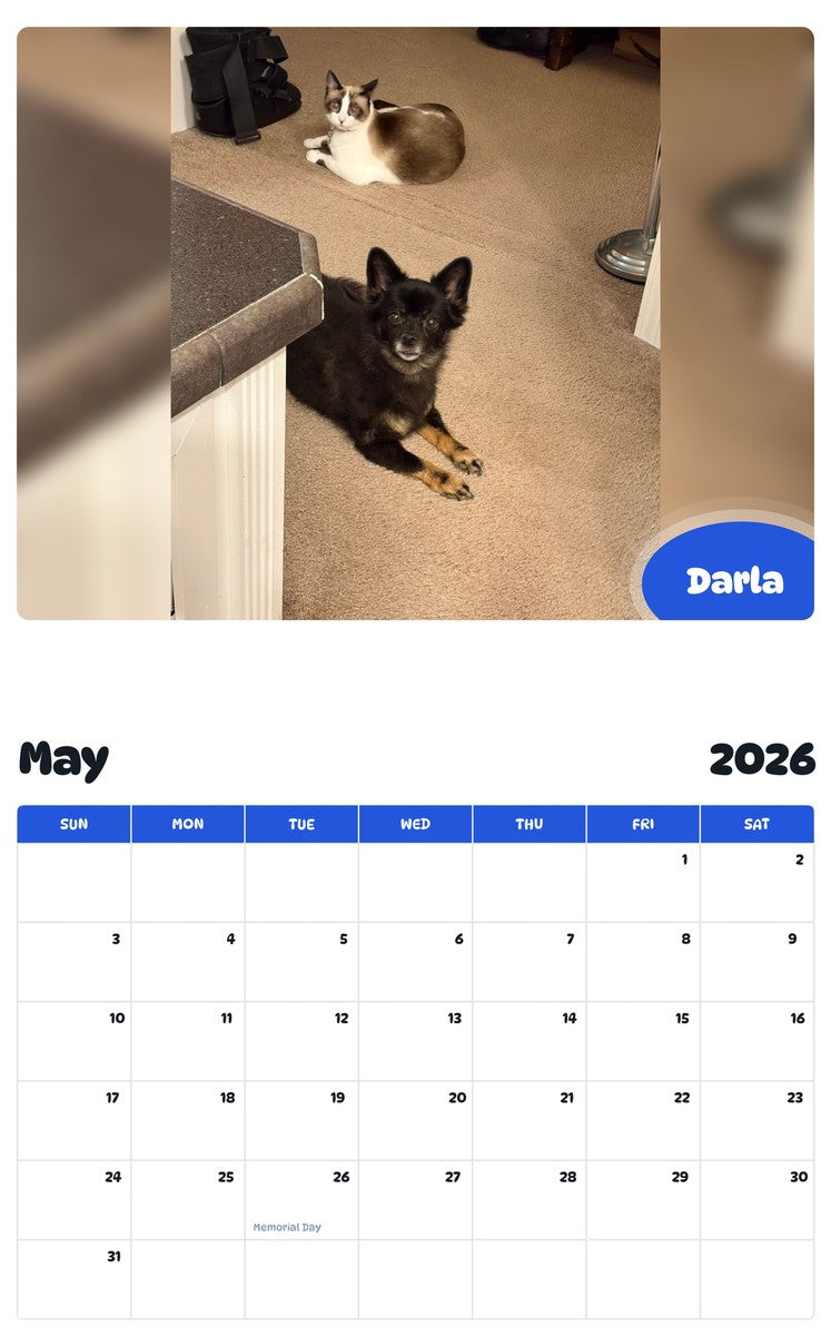 2026 - 2027 Darla - Pawidols Pet Calendar