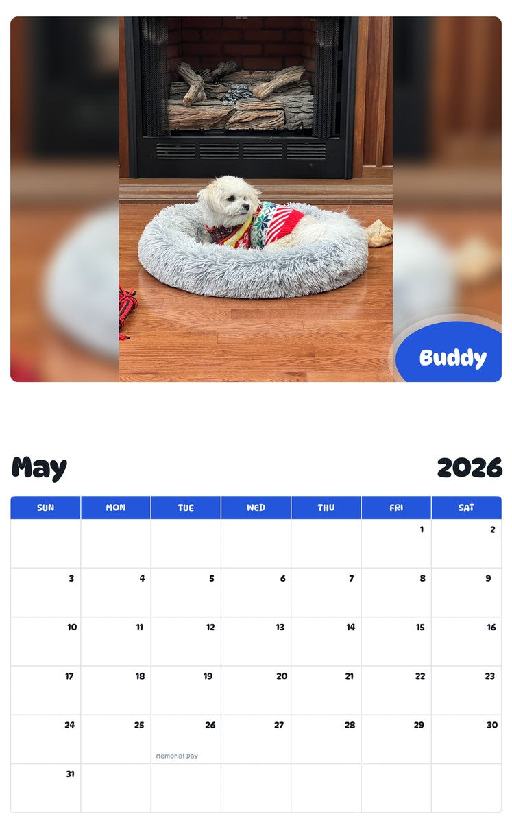 2026 - 2027 Buddy - Pawidols Pet Calendar