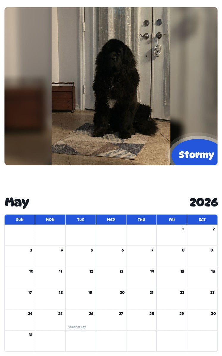 2026 - 2027 Stormy - Pawidols Pet Calendar