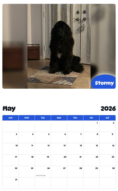 2026 - 2027 Stormy - Pawidols Pet Calendar