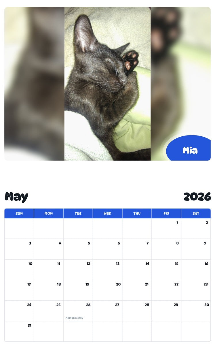 2026 - 2027 Mia - Pawidols Pet Calendar