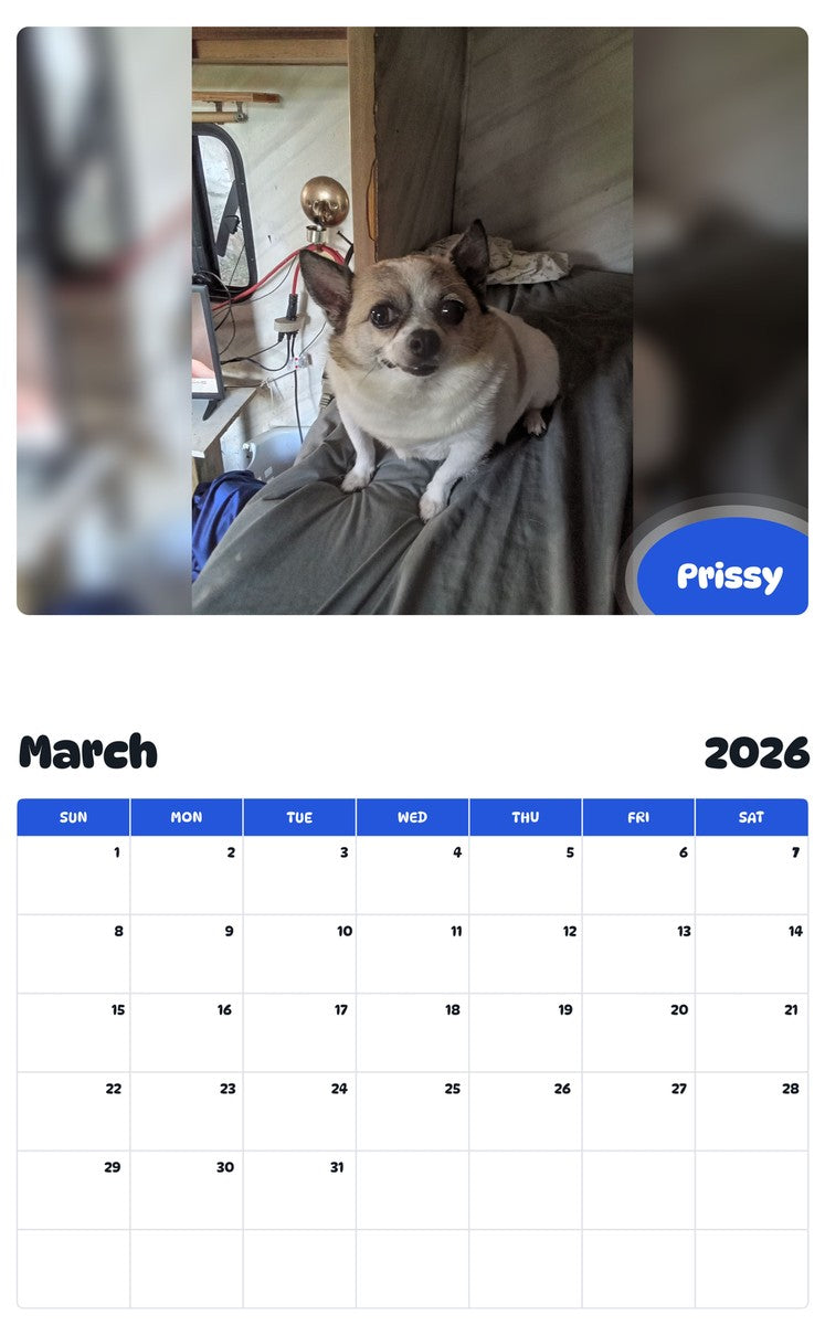 November 2025 - October 2026 Prissy - Pawidols Pet Calendar