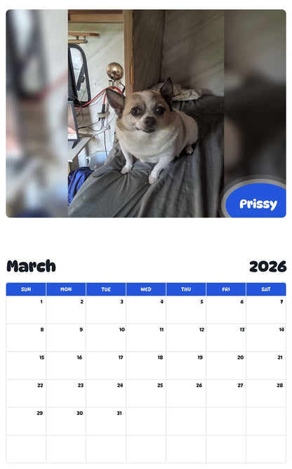 November 2025 - October 2026 Prissy - Pawidols Pet Calendar