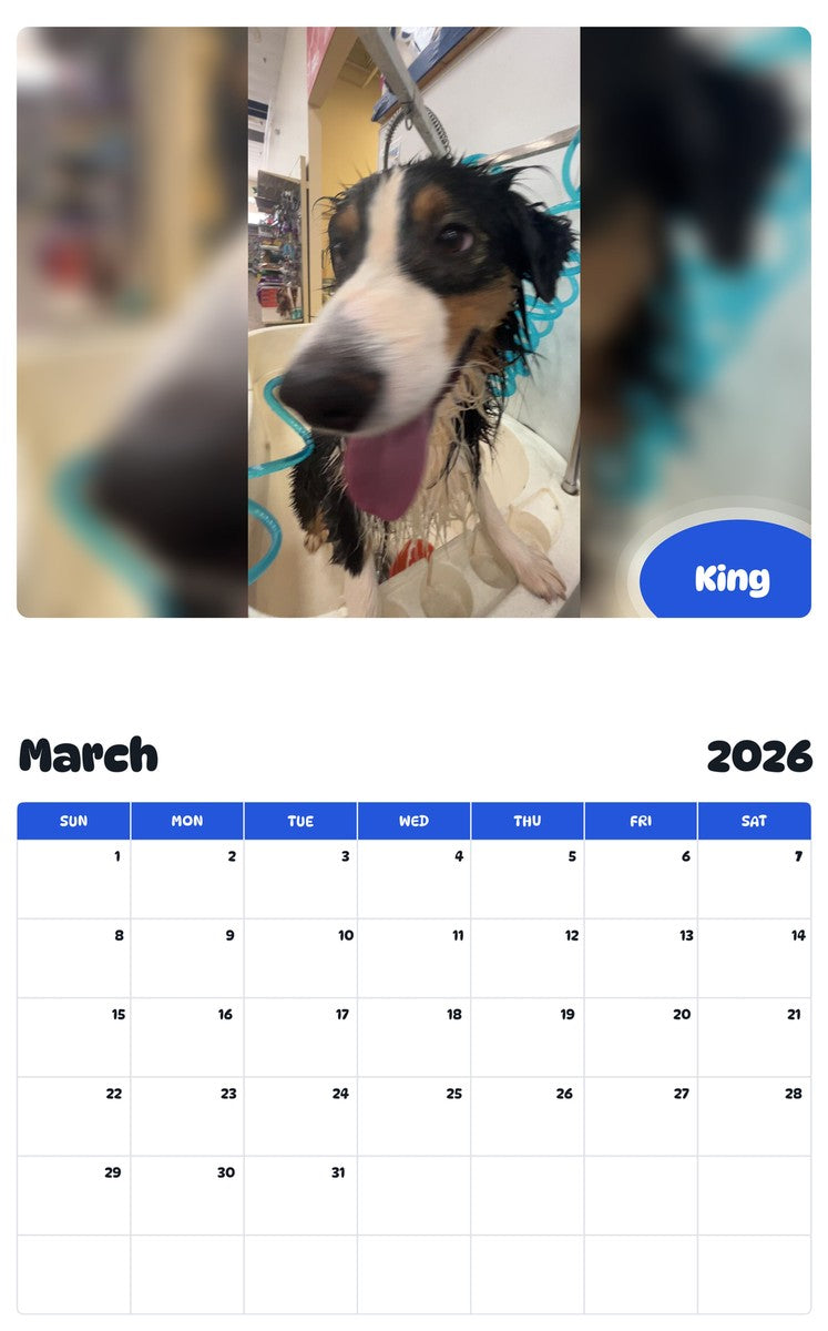 November 2025 - October 2026 King - Pawidols Pet Calendar