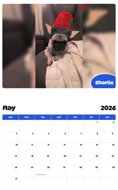 2026 - 2027 Charlie - Pawidols Pet Calendar