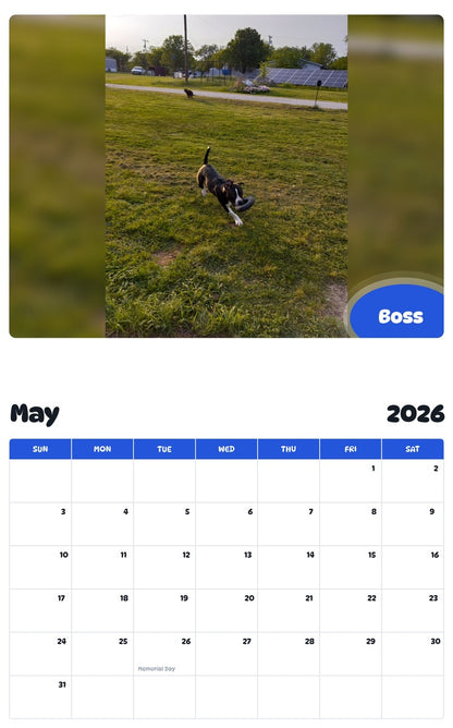 2026 - 2027 Boss - Pawidols Pet Calendar