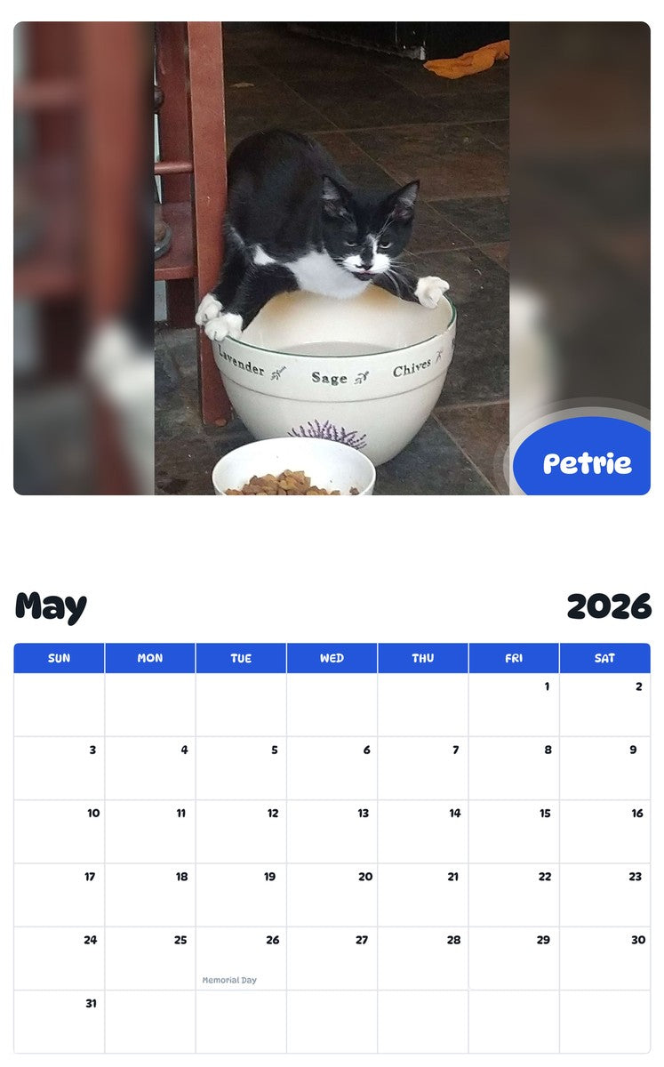 2026 - 2027 Petrie - Pawidols Pet Calendar