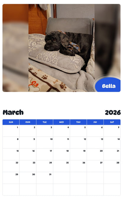 November 2025 - October 2026 Bella - Pawidols Pet Calendar