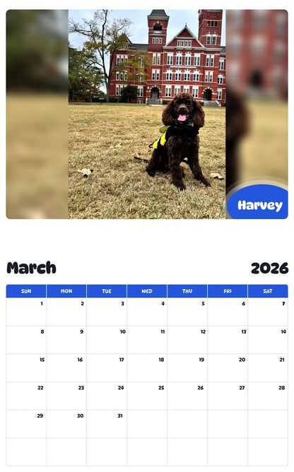 November 2025 - October 2026 Harvey - Pawidols Pet Calendar