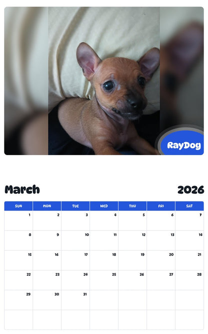 November 2025 - October 2026 RayDog - Pawidols Pet Calendar