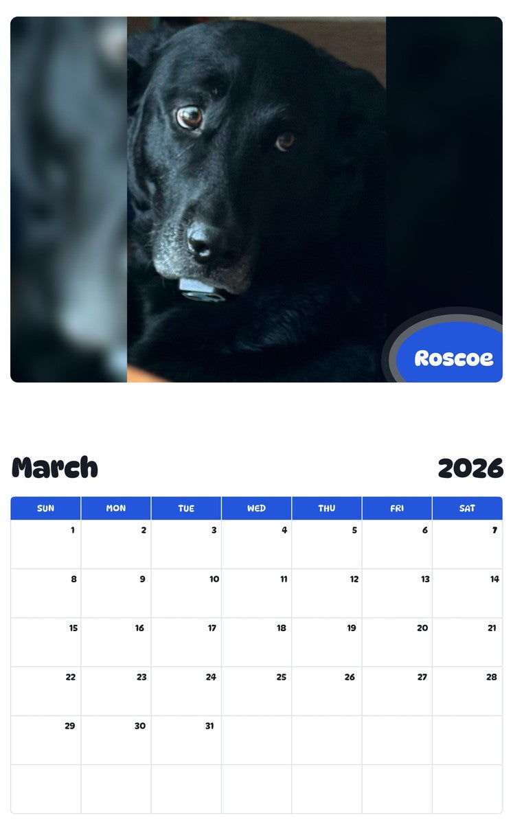 November 2025 - October 2026 Roscoe - Pawidols Pet Calendar