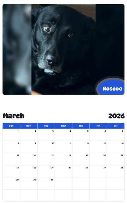 November 2025 - October 2026 Roscoe - Pawidols Pet Calendar
