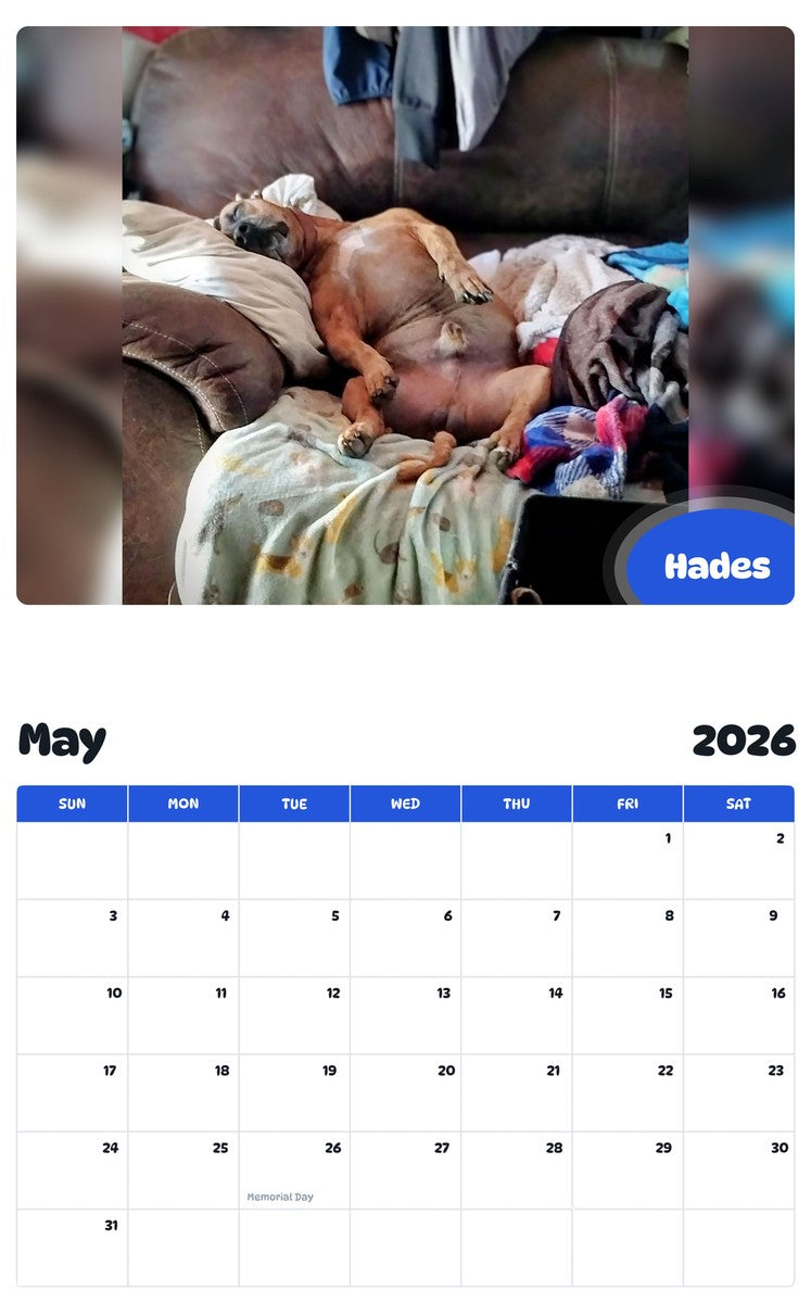 2026 - 2027 Hades - Pawidols Pet Calendar