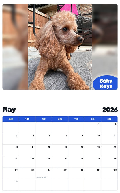 2026 - 2027 Baby Keys - Pawidols Pet Calendar
