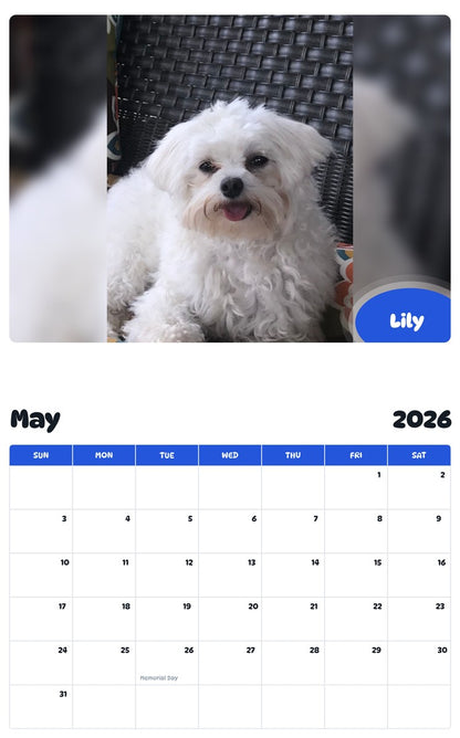2026 - 2027 Lily - Pawidols Pet Calendar