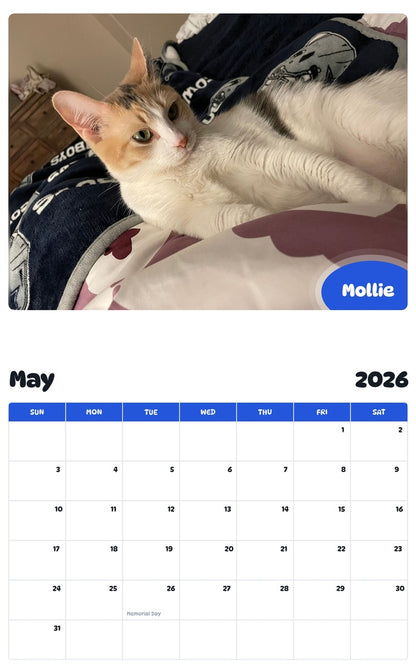 2026 - 2027 Mollie - Pawidols Pet Calendar