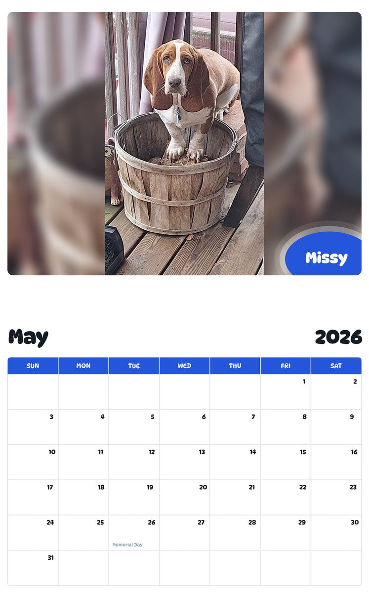 2026 - 2027 Missy - Pawidols Pet Calendar