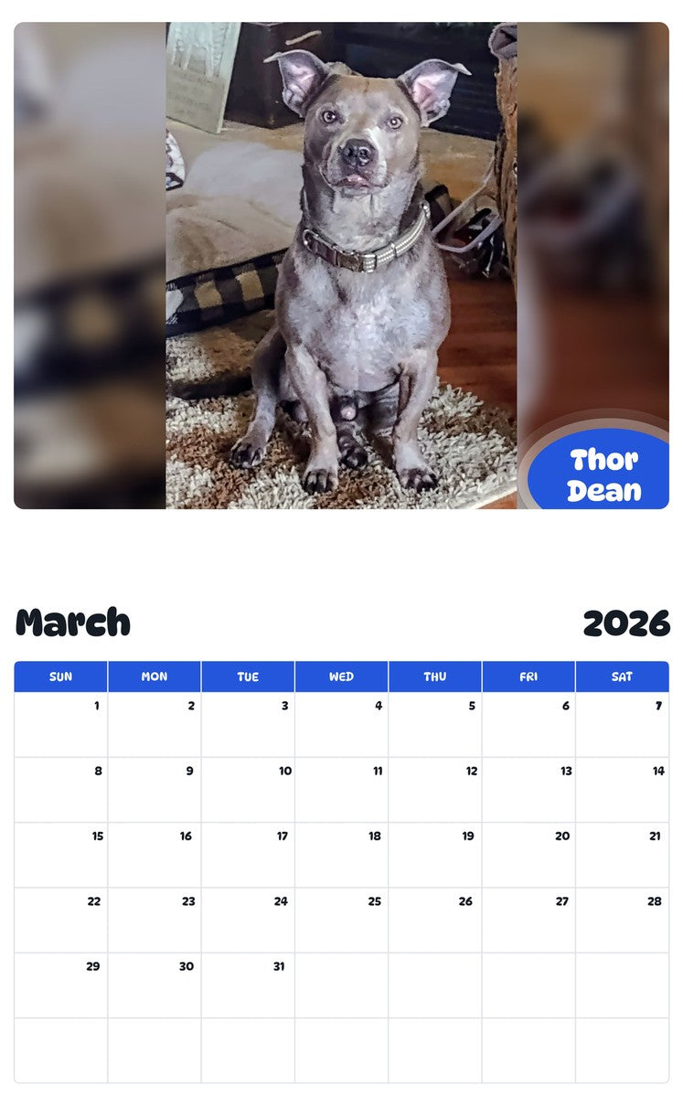 November 2025 - October 2026 Thor Dean - Pawidols Pet Calendar