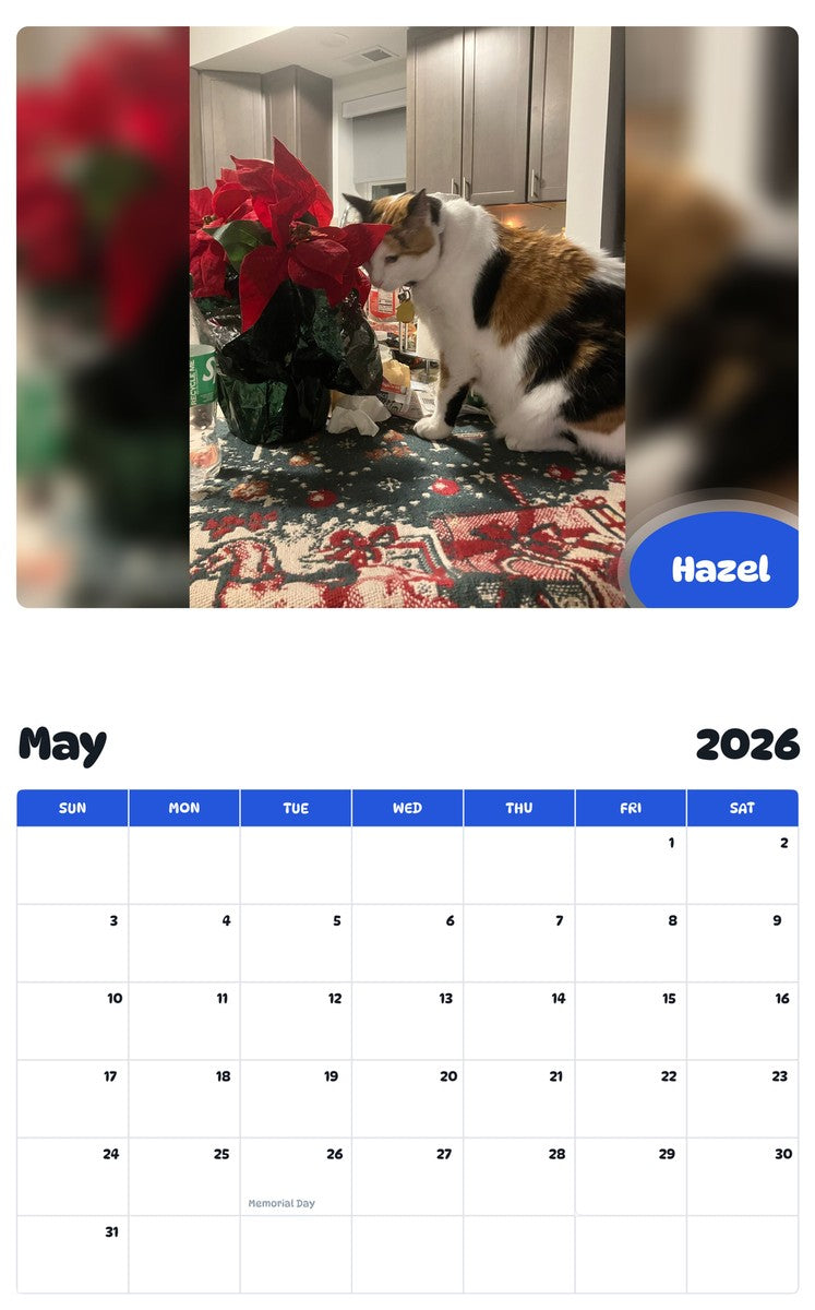 2026 - 2027 Hazel - Pawidols Pet Calendar