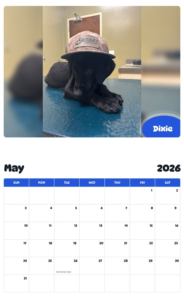 2026 - 2027 Dixie - Pawidols Pet Calendar