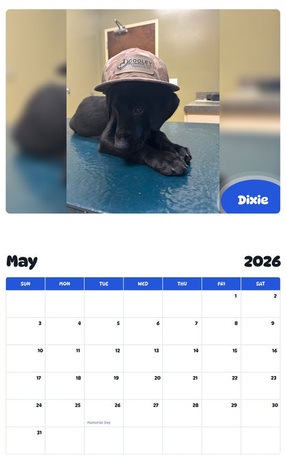 2026 - 2027 Dixie - Pawidols Pet Calendar