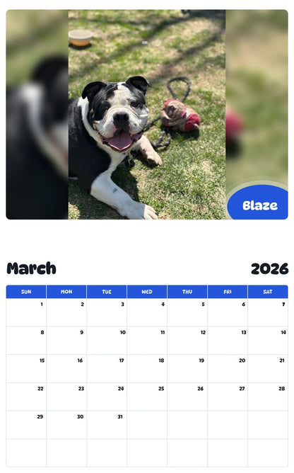 November 2025 - October 2026 Blaze - Pawidols Pet Calendar