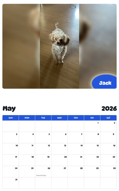 2026 - 2027 Jack - Pawidols Pet Calendar