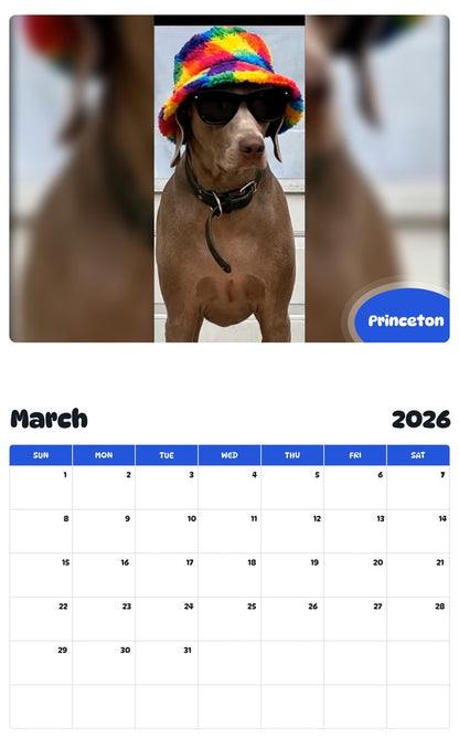 November 2025 - October 2026 Princeton - Pawidols Pet Calendar