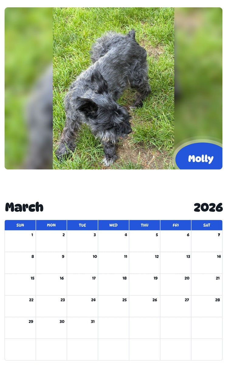 November 2025 - October 2026 Molly - Pawidols Pet Calendar