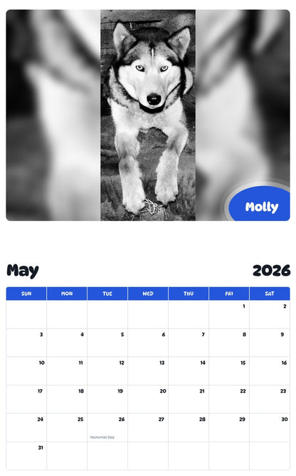 2026 - 2027 Molly - Pawidols Pet Calendar