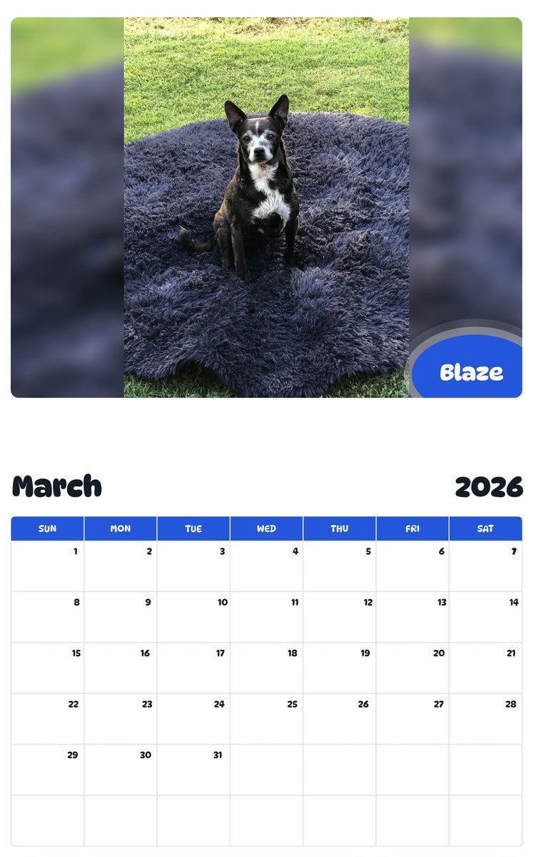 November 2025 - October 2026 Blaze - Pawidols Pet Calendar