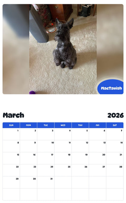 November 2025 - October 2026 MacTavish - Pawidols Pet Calendar
