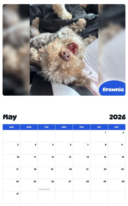 2026 - 2027 Brownie - Pawidols Pet Calendar
