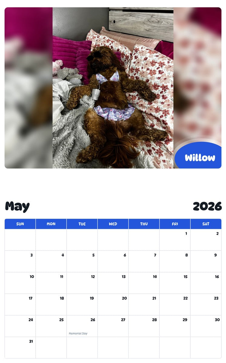 2026 - 2027 Willow - Pawidols Pet Calendar