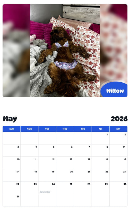 2026 - 2027 Willow - Pawidols Pet Calendar