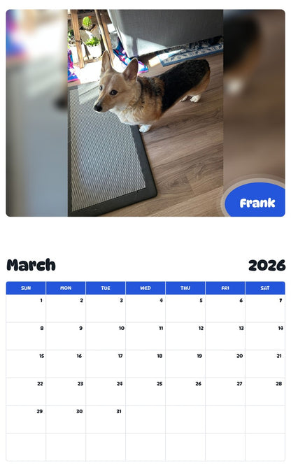 November 2025 - October 2026 Frank - Pawidols Pet Calendar