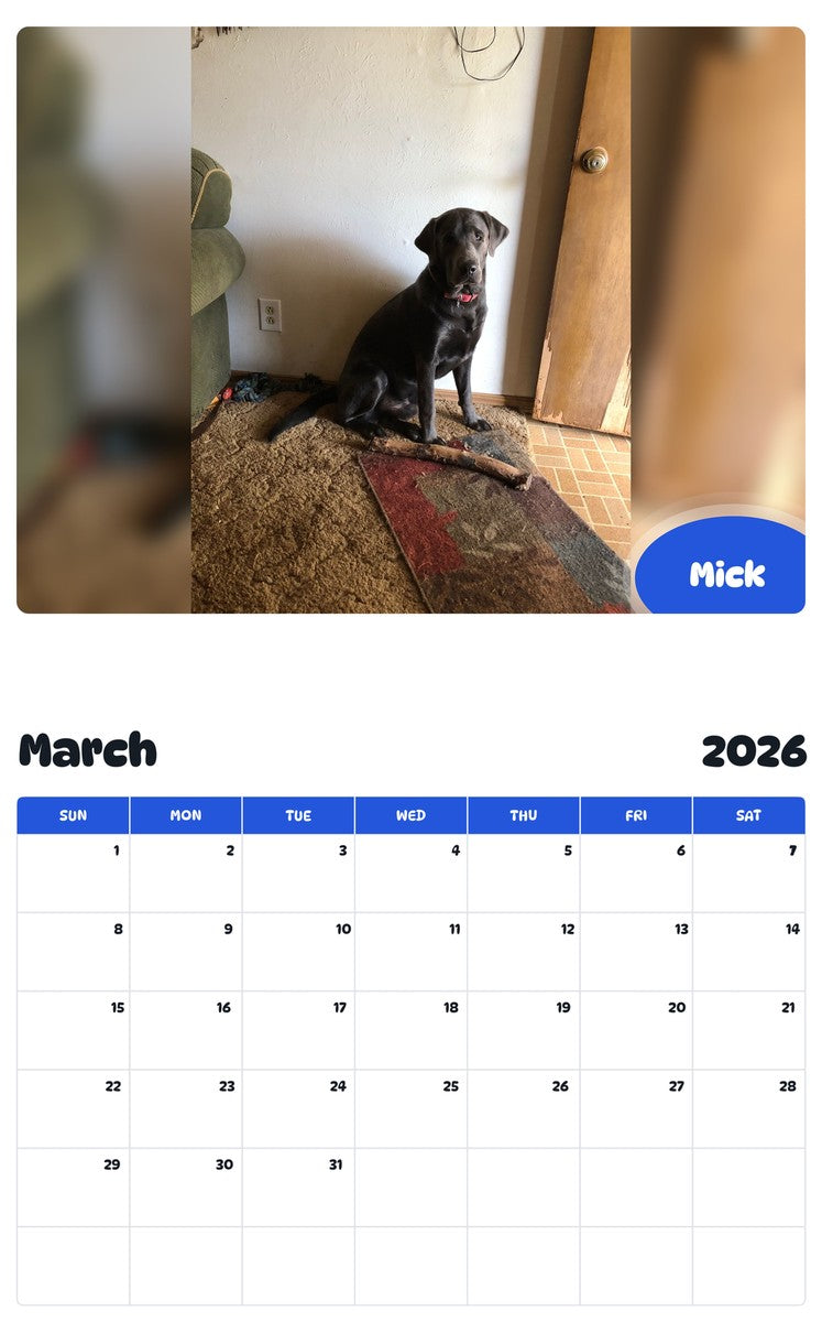 November 2025 - October 2026 Mick - Pawidols Pet Calendar