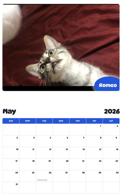 2026 - 2027 Romeo - Pawidols Pet Calendar
